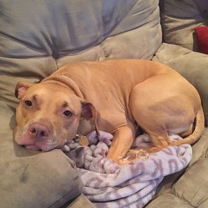 Meet your Posher, Tammy